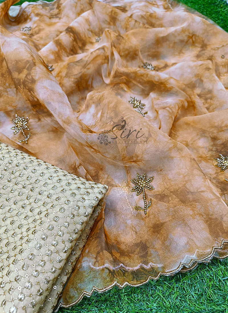 Lovely Shibori Design Organza Saree in Handwork - Image 5