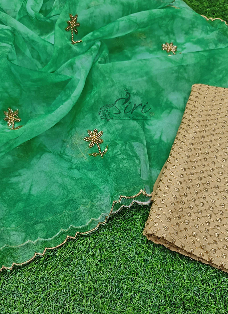 Lovely Shibori Design Organza Saree in Handwork - Image 6